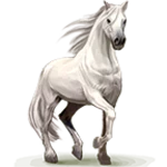 horse pictures live wallpaper android application logo